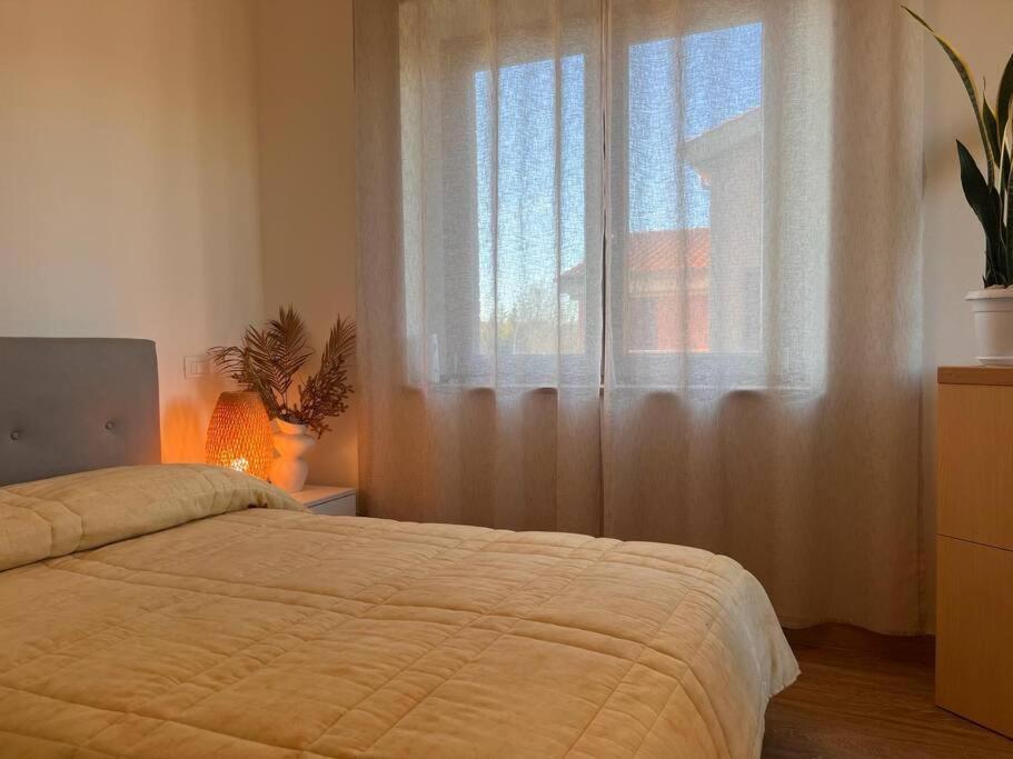 Casa Delle Apartment